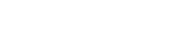 light logo