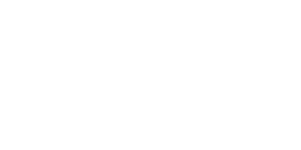 light logo
